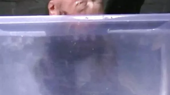 Cum poze cu pule belite Tomberon