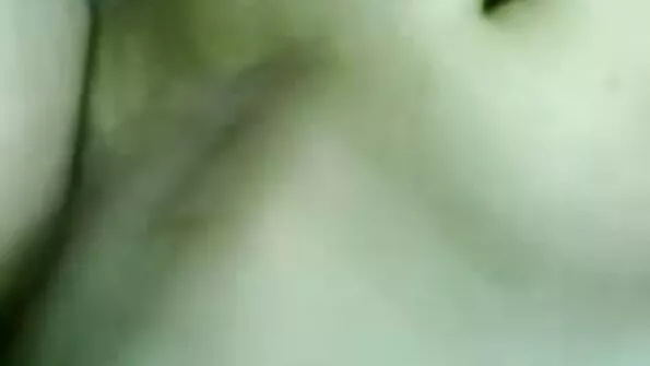 Brick pericol, alura TNT Jenson teste fiul meu [Brazzers poze cu pule goale ' cel mai bun]